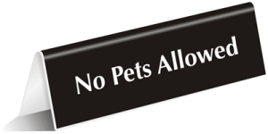 No pets